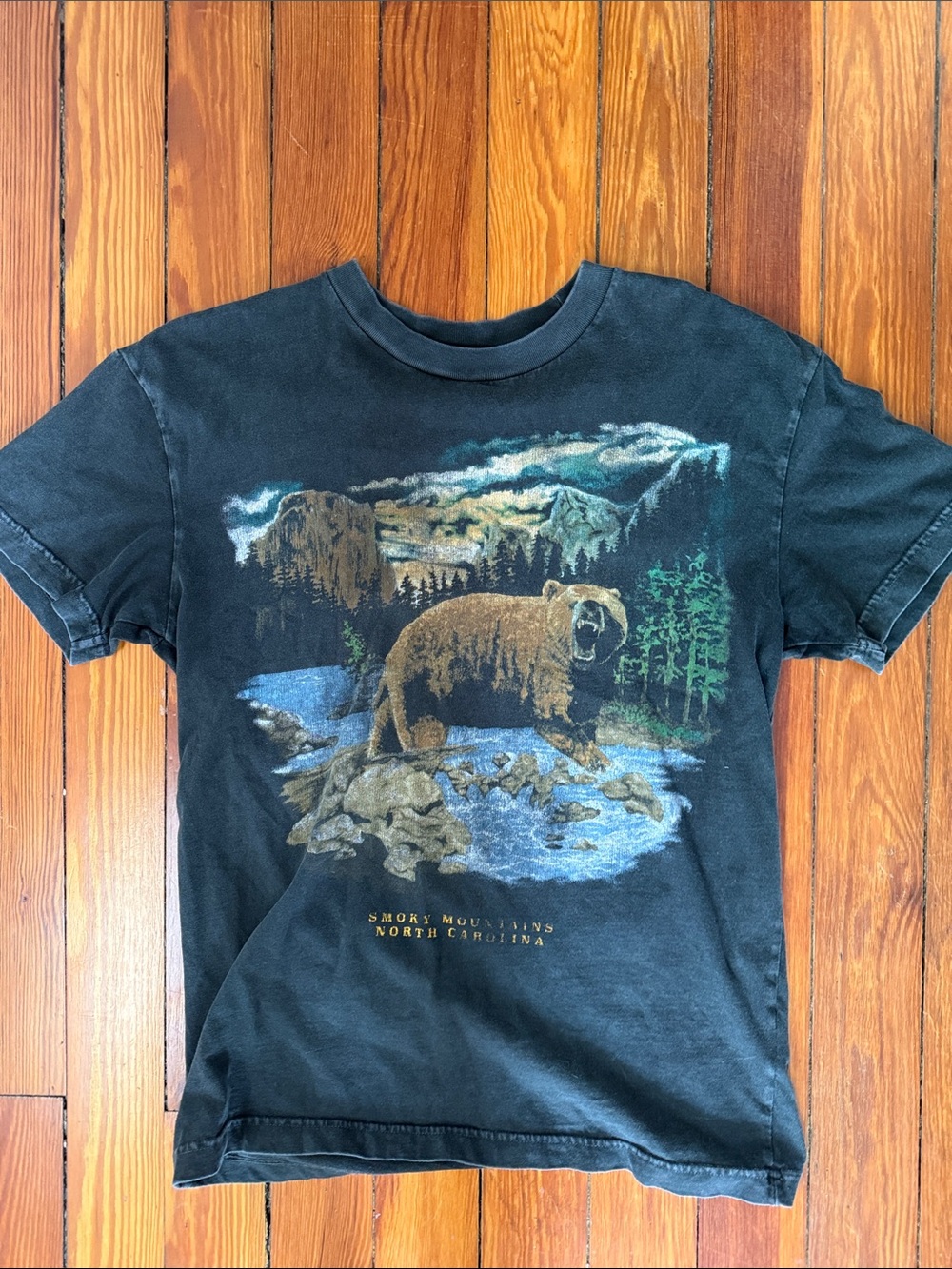 Abercrombie graphic tee